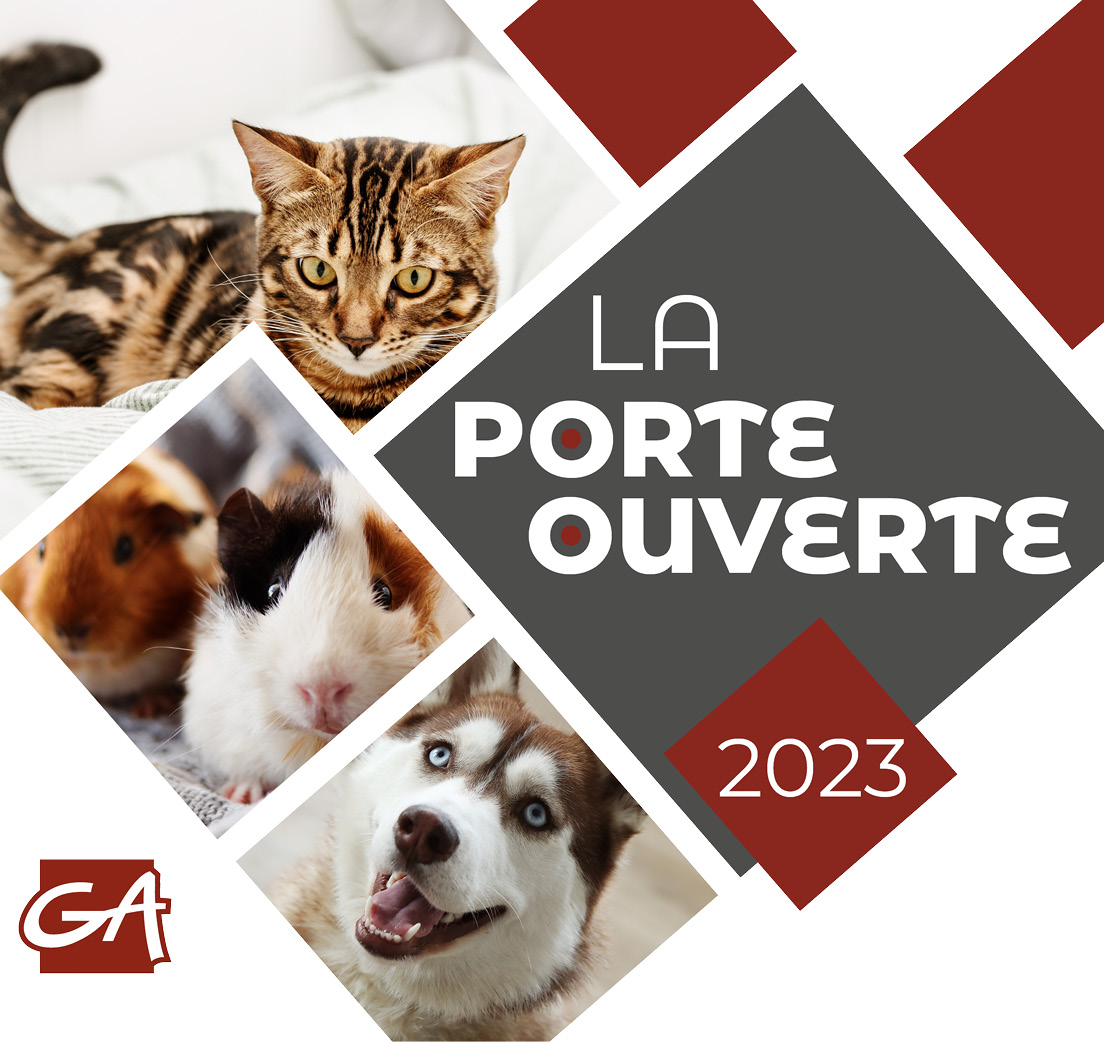 Porte Ouverte 2023 – VENEZ EN GRAND NOMBRE! 