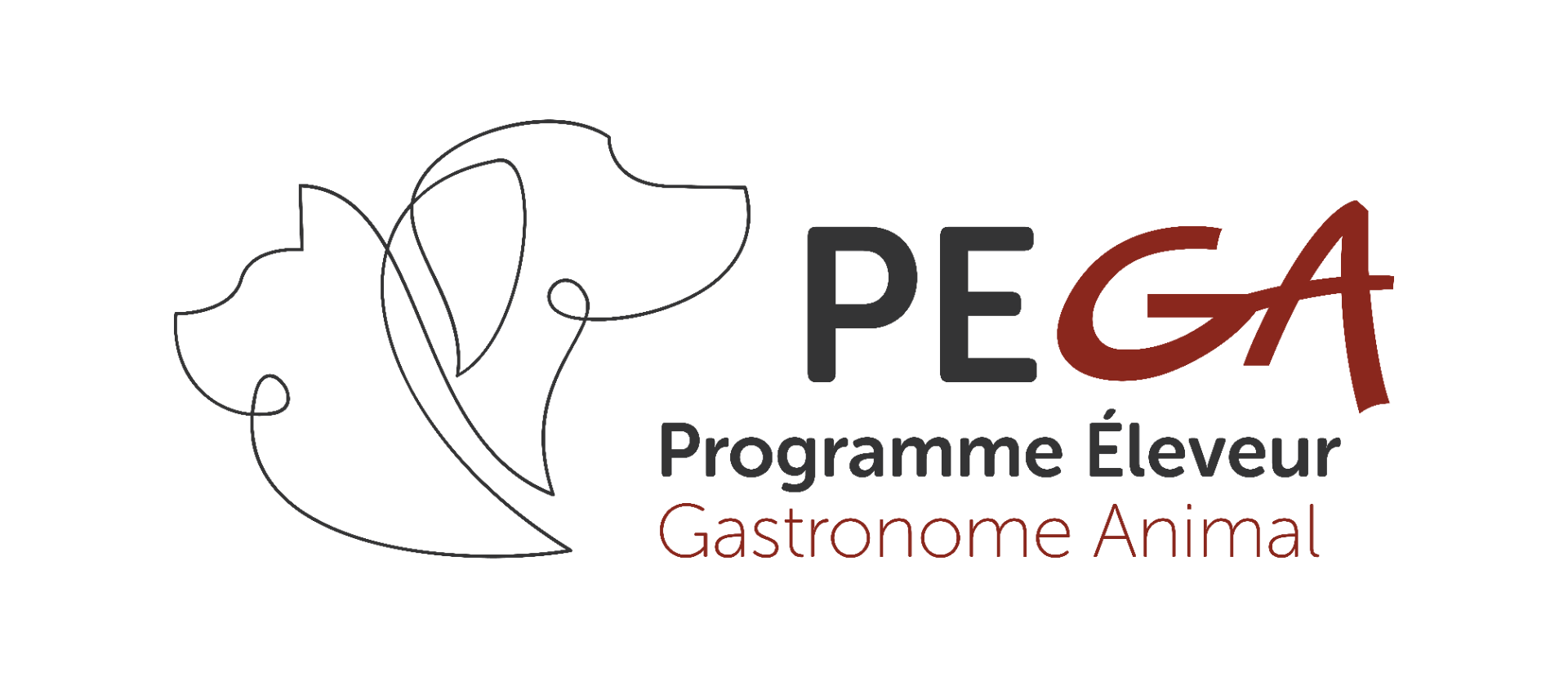 Logo PEGA